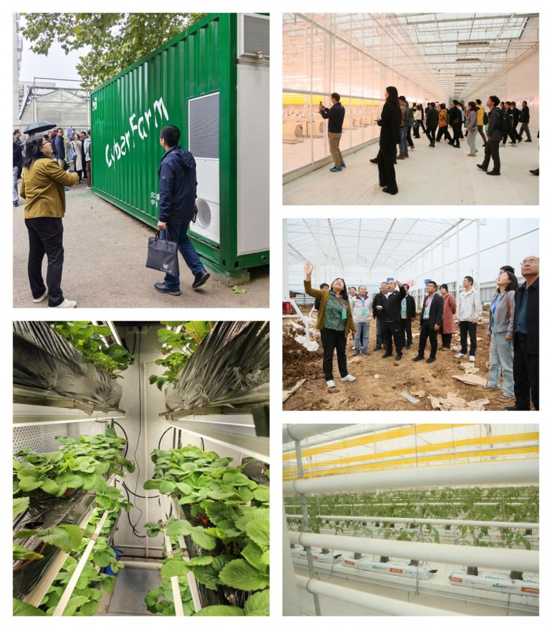 三天盛会绘就产业新蓝图 技术协同开启农业新未来 —— 2025年智慧植物工厂技术研讨会综述