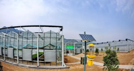 成都探索“互联网+农业”新路径 打造智慧农业科技服务新生态