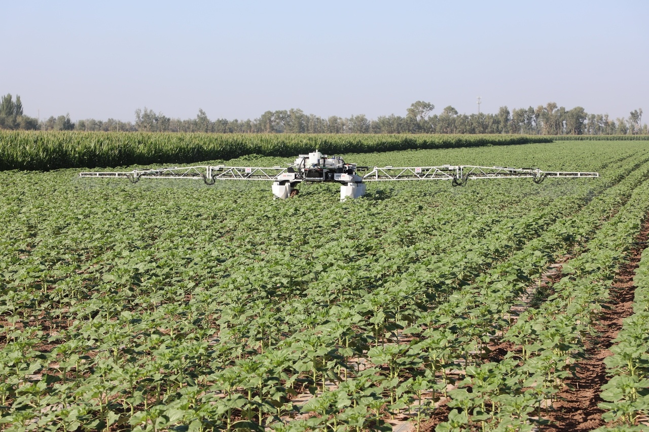 科技赋能田间 农业机器人服务引领现代农业新变革