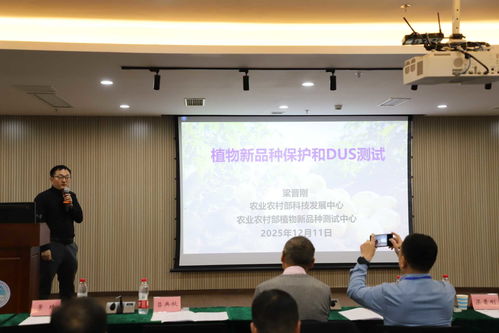 以技术创新驱动产业升级 全国马铃薯种业高质量发展交流会在渝召开，共探农业科技研发新路径