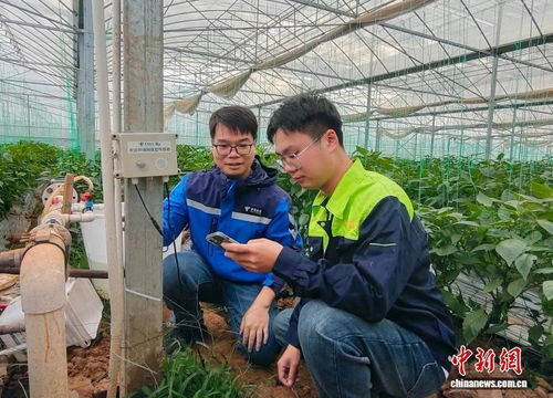 科技赋能新农人，广西电信助力乡村振兴新篇章