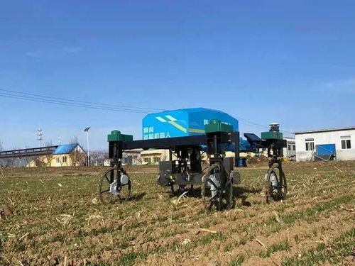 农业产业周报 科技赋能，龙头领航——聚焦中粮、极飞、克明、牧原与行业研发新动态