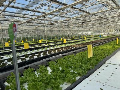 科技守护餐桌 朝来农艺园的田间智慧与舌尖安全