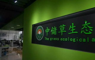 跨省交流促发展 江门市养猪协会赴河南考察农业科技研发
