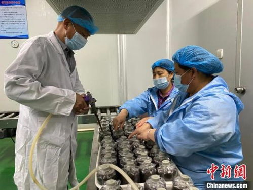 福建邵武 绿色优质高效引领农业现代化
