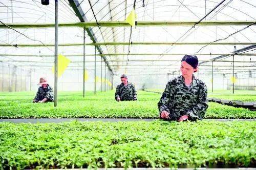 科技兴农 点亮山乡——贵州修文县拟列全国农业科技现代化共建先行县观察