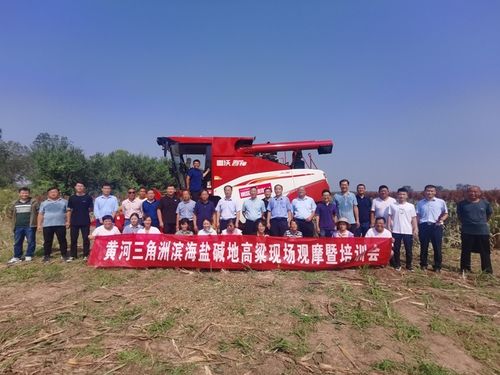 科技助力盐碱地改良——黄河三角洲滨海盐碱地高粱现场观摩暨培训会成功举办